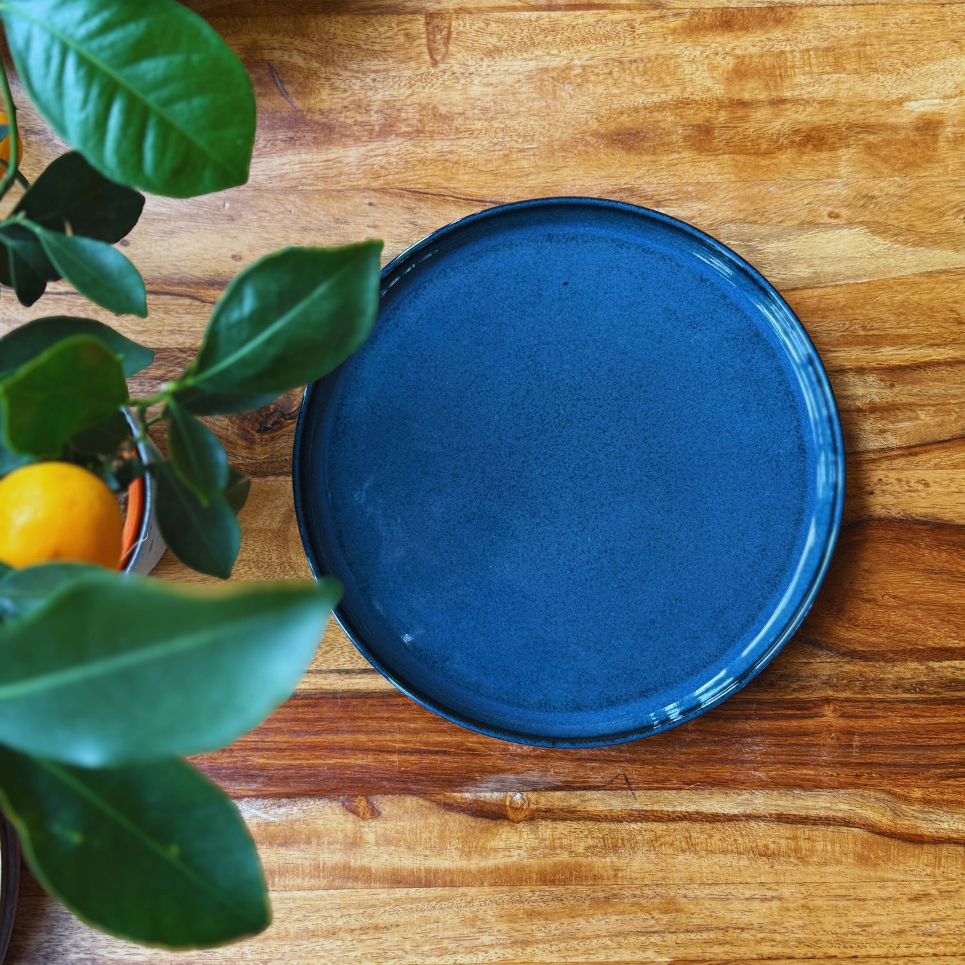 Deep Blue 26cm