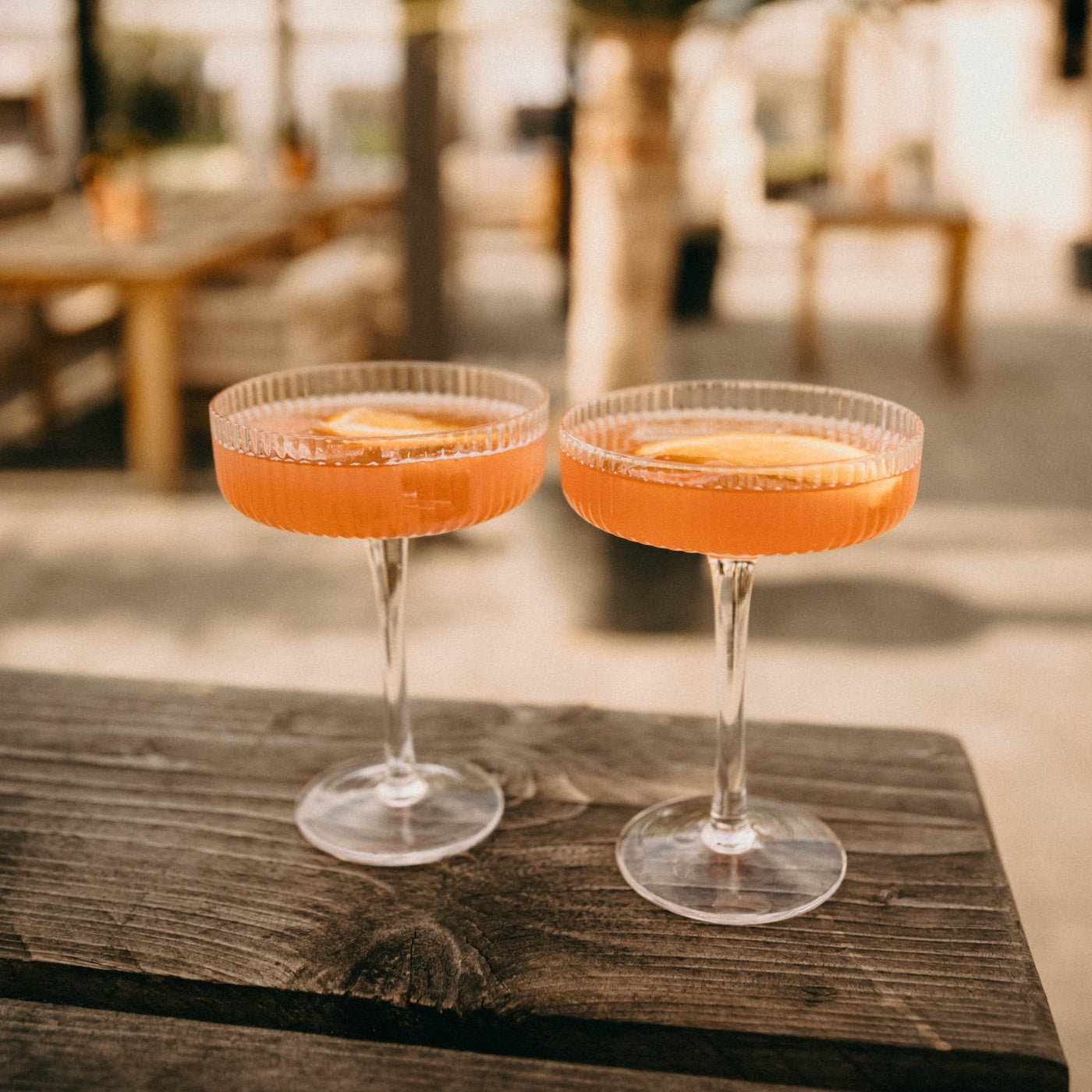 Venice Martini (6x)