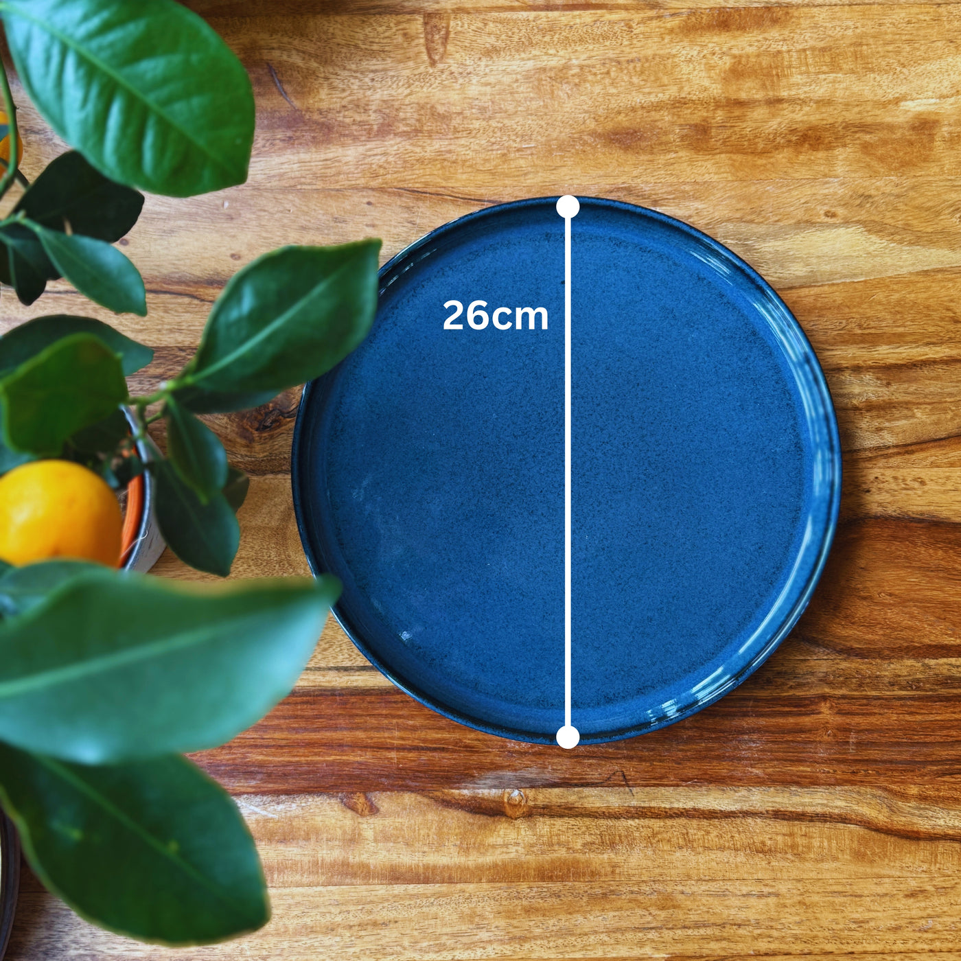 Deep Blue 26cm