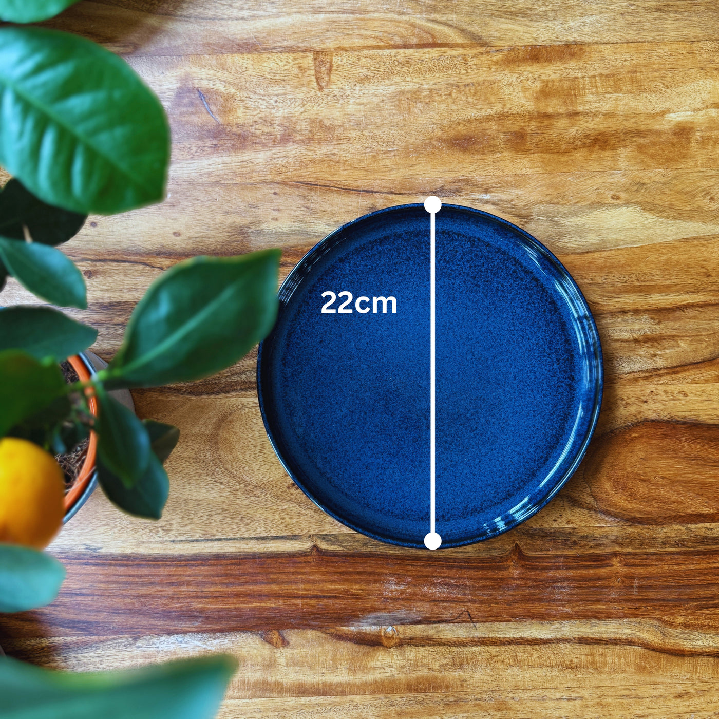 Deep Blue 22cm